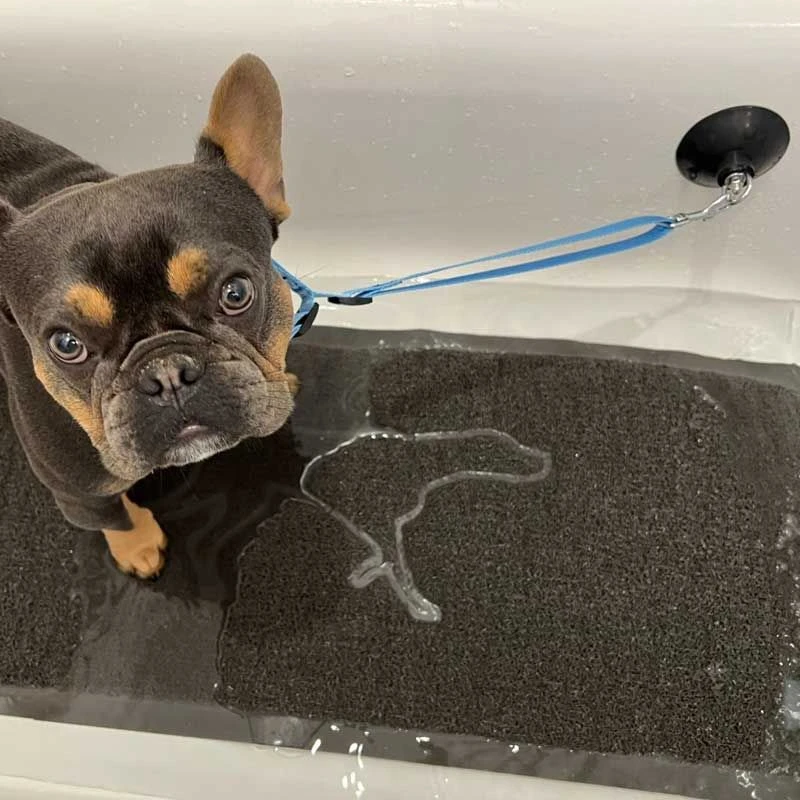 Correa De Baño Con Ventosa Tall Tails 5 Correa De Baño Con Ventosa Tall Tails - Imagen 3