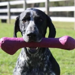 Juguete Hueso De Caucho Natural Tall Tails -Mascotas Productos Tienda talltails hueso caucho l 2