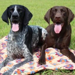 Manta Para Mascotas "Southwest" Tall Tails -Mascotas Productos Tienda talltails manta southweast 2