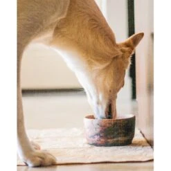 Tapete Absorbente Para Perros Tall Tails -Mascotas Productos Tienda tapete absorbente tall tails 04