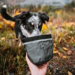 Plato De Viaje "Travel Bowl" -Mascotas Productos Tienda travel bowl 6