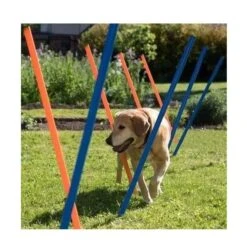 Varas Para Agility Pawise -Mascotas Productos Tienda varas agility 5