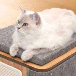 Mueble Vesper Cubo - Piedra -Mascotas Productos Tienda vesper cubo stone 4