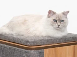 Mueble Vesper Cubo - Piedra -Mascotas Productos Tienda vesper cubo stone 6