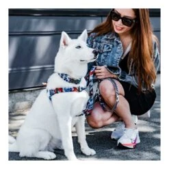 Arnés Woof Concept "Koi" Para Perros -Mascotas Productos Tienda woof koi arnes 3