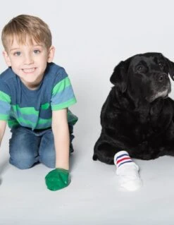 Botas De Goma PawZ Talla XL 14 Botas De Goma PawZ Talla XL -Mascotas Productos Tienda xl lifestyle 5 5