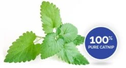 Spray Menta "Xtreme CATNIP" Super Concentrado Para Gatos -Mascotas Productos Tienda xtreme catnip pure catnip