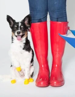 Botas De Goma PawZ Talla XXS -Mascotas Productos Tienda xxs lifestyle 3 6