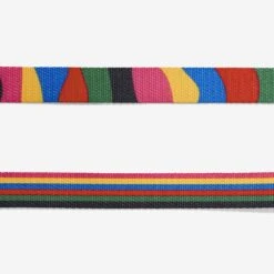 Collar Para Gatos "Chroma" Zee.Cat -Mascotas Productos Tienda zeecat chroma catcollar 3