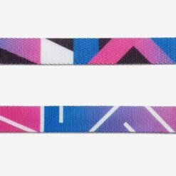 Collar Para Gatos "Midnight" Zee.Cat -Mascotas Productos Tienda zeecat midnight collar 3