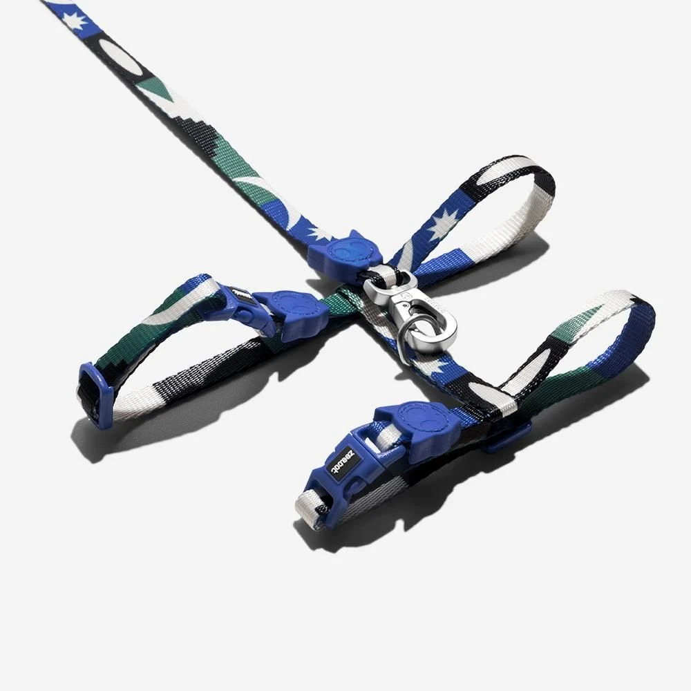 Set Arnés Y Correa Para Gatos "Tarot" Zee.Cat 4 Set Arnés Y Correa Para Gatos "Tarot" Zee.Cat - Imagen 2