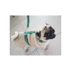 Arnés Step-In Zeus Para Perros -Mascotas Productos Tienda zeus arnes perro 2 1